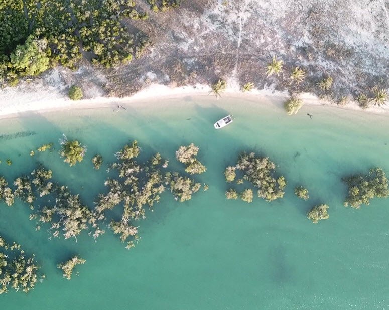 Vilanculos Coastal Wildlife Sanctuary, Inhambane Province, Mozambique